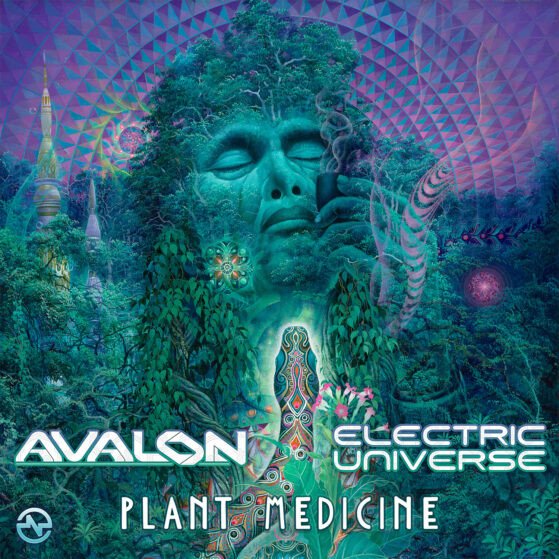 Avalon & Electric Universe - Plant Medicine