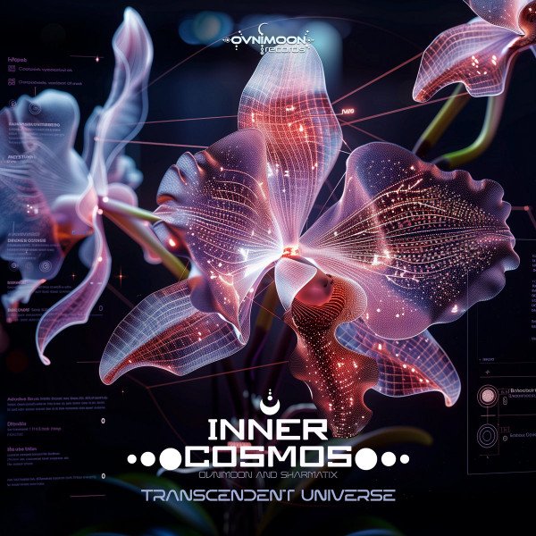 Inner Cosmos - Transcendent Universe