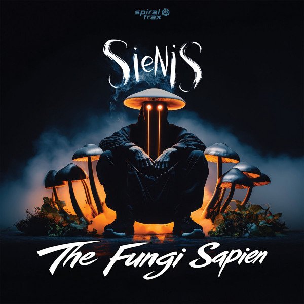 Sienis - Heart of Hearing (Sienis rmx)