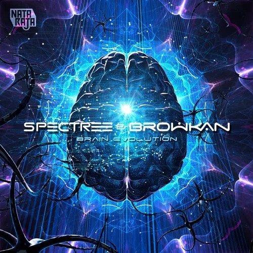 Spectree & Browkan - Psychedelic Consciousness (AFE rmx)