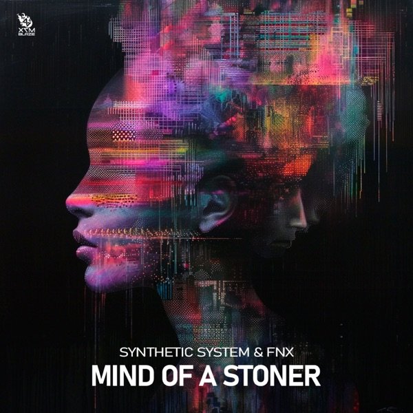 Synthetic System Feat. Fnx - Mind Of A Stoner