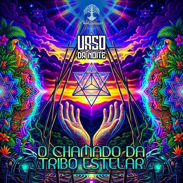Urso da noite - Praia da Barra